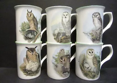 Buy Set Of 6 Mugs Owls Barn, Snowy Fine Bone China Mugs 10oz Decorated In England • 26.99£