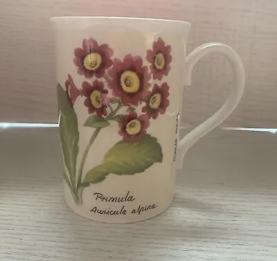 Buy Vintage Primula Design Royal Grafton English Fine Bone China Mug Made In England • 6£