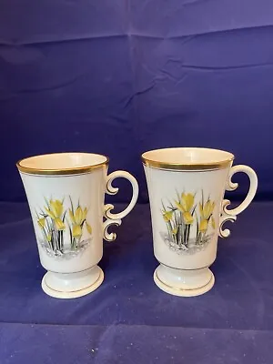 Buy Royal Worcester Fine Bone China Daffodil Coffee Cup • 12£