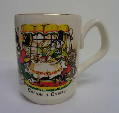 Buy Sadler Welsh Souvenir Mug Cofion O Gymru Vintage Bone China Ceramic Pottery Cup • 5.99£