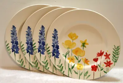 Buy Royal Stafford 11  Dinner Plates Colorful Wildflower Floral Set Of 4 New • 56.83£