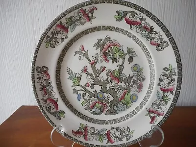 Buy Indian Tree Porcelain Decorative Display Plate By Johnson Bros. • 3.50£