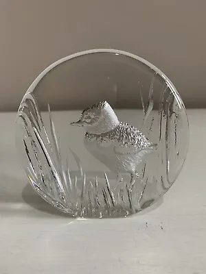 Buy Mats Jonasson Art Glass Chick Signature Collection Lead Crystal Handmade Sweden • 11.95£