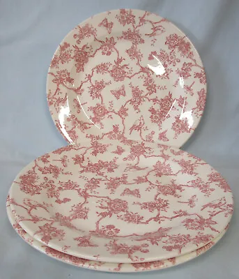 Buy Queens Pink Toile De Jouy Dinner Plate 10 1/4 , Set Of 3 • 29.31£