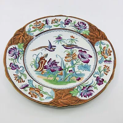 Buy Antique Cauldon Hand Painted Porcelain Plate Birds Of Paradise 10” • 24.67£
