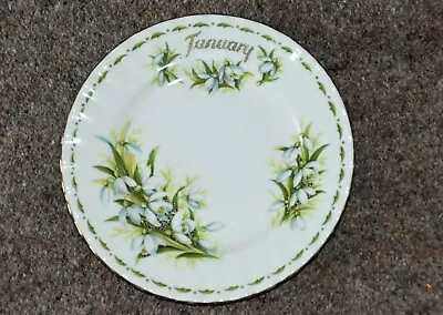 Buy Royal Albert Flower Of The Month January Snowdrops Small Plate 16 Cms • 5£