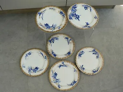Buy 6 X Doulton Burslem Large Dinner Plate Gold And Blue Daffodils Antique • 22£