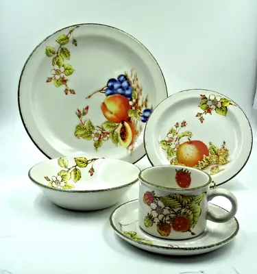Buy Vintage Stonehenge Midwinter ~ Still Life ~ 5 Piece Place Setting ~Oven To Table • 47.24£