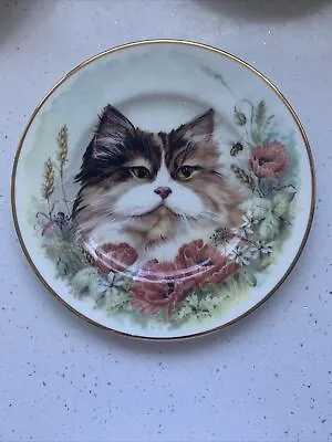 Buy Fenton China Cat And Poppy Plate • 4.99£
