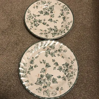 Buy British Home Stores Country Vine Ivy Dinner Plates X 2 • 12£