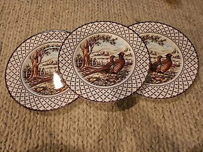 Buy Royal Stafford Pheasant Thanksgiving Dinner Plates Set Of 3 Brown NWOT • 42.57£