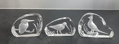 Buy 3 X Wedgewood Lead Crystal Glass Paperweights Kingfisher, Snipe, Pheasant  • 12.50£