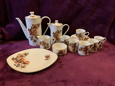 Buy Lord Nelson Pottery Afternoon Teaset 17pcs Tea/Coffee Set Whisper Pattern • 30£