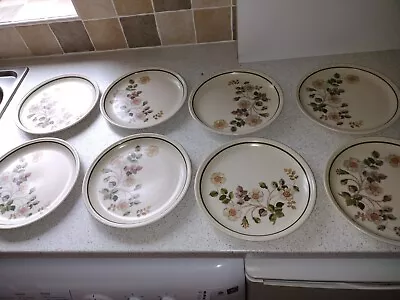 Buy Marks And Spencer Autumn Leaves Salad Plates Set Of 8 • 10£