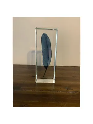Buy Encased Glass Feather Table Object • 50.44£