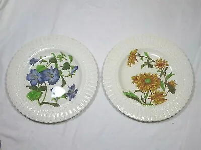 Buy Vintage Cauldon England Plates  Orange Chrysanthemums  &  Morning Glory  9 3/4  • 23£