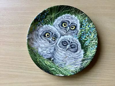 Buy Set Of Six Wall Plates Baby Owls By Wedgwood • 25£