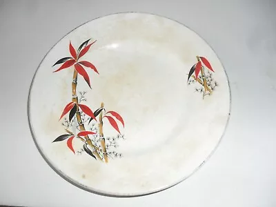 Buy Barratt's Delphatic White Tableware Plate Bamboo Pattern  Lovely Condition • 3£