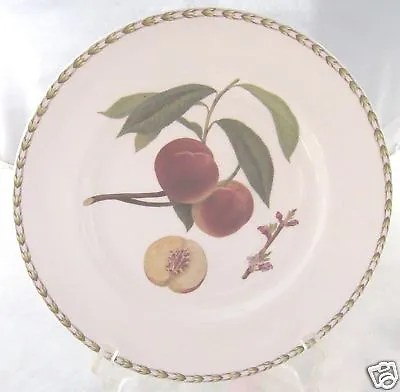 Buy Rosina Queens Hookers Fruit Dinner Plate Peach • 20.50£