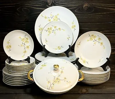 Buy Johann Haviland Bavaria Yellow Floral Branches China Set For 8 And Serving Bowl • 180.26£