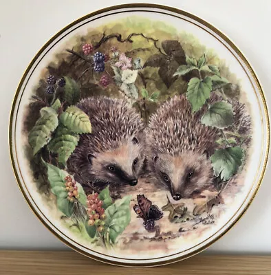 Buy Vintage Royal Vale Collection Staffordshire  European Hedgehog  Plate • 4.50£