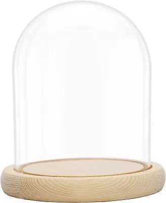 Buy Belle Vous Glass Dome Cloche Bell Jar W/ Wooden Base - 16.2cm, Display Case • 19.49£