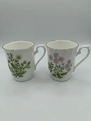 Buy Royal Sutherland H&M Bone China Teacups With Chamomile And Coriander Set Of 2 • 18.93£