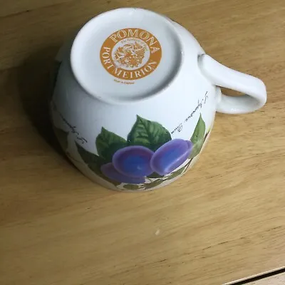 Buy Portmeirion Pomona -Plum  Large Tea, Coffee, Soup Ceramic Mug • 5£