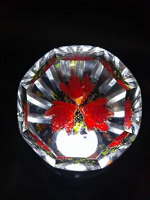 Buy Caithness Glass Paperweight Morning Jewels Ltd Edition 23/150 BOX & CERTIFICATE  • 115£