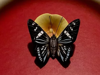 Buy Franklin Mint Butterflies Of The World 1985 Mangrove Skipper Porcelain Butterfly • 8.50£