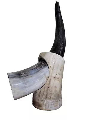 Buy Large Ox Horn - Viking Drinking Vessel- And Stand- 36cm • 18£