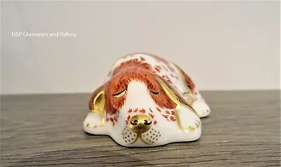 Buy Royal Crown Derby PUPPY Paperweight With Gold Stopper Used • 45£
