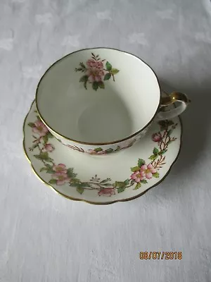 Buy Vintage Royal Adderley Pottery China Cup And Saucer (maybe Briar Rose?) • 10£