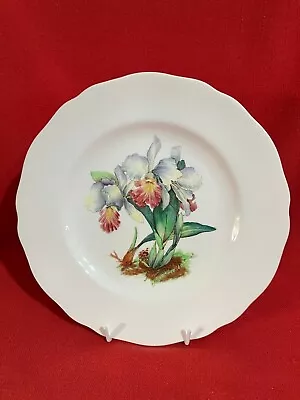 Buy C 1950 W T Copeland & Sons (Spode) Cabinet Plate Orchid #5 Pattern #2009 Signed • 79.04£