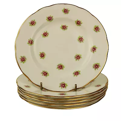 Buy Duchess Pink Rosebud 6 Tea Side Plates 16.5cm Vintage Chintz Ditsy Rose Melody • 12.99£