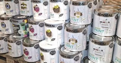 Buy Ronseal Outdoor Garden Paint - For Exterior Wood Metal Stone Brick - All Colours • 25£