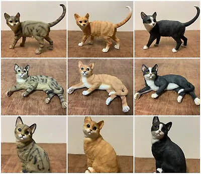 Buy Ginger Cat Black & White Cat Tabby Cat Ornament Statues Cat Lovers Gift Leonardo • 8.99£