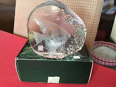 Buy Mats Jonasson Lead Crystal Angel Fish Sculpture Paperweight Sweden Boxed • 29.50£