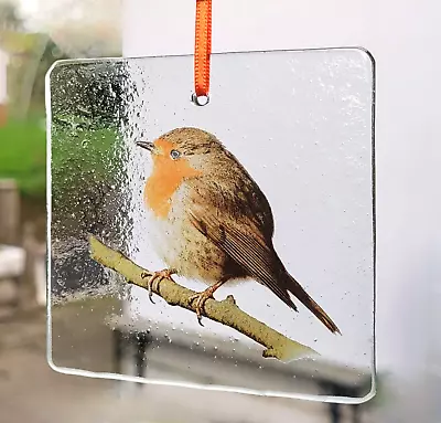 Buy Suncatcher Robin Bird Stained Glass Stain Glass Gift Window Decoration Window • 20£