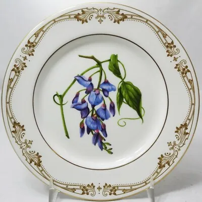 Buy CHELSEA GOLD SWEET PEA By Aynsley Bread & Butter Plate NEW NEVER USED England • 35.09£