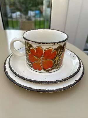 Buy Midwinter Nasturtium Cup, Saucer And Side Plate 60s 70s Vintage Stoneware • 14£