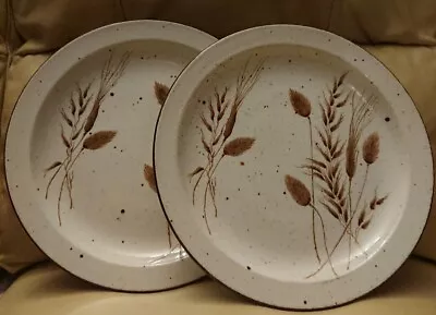 Buy Pair Vintage Midwinter Stonehenge Pottery 10.5  Dinner Plates Wild Oats Design • 37.50£