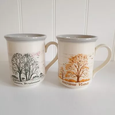 Buy 2x Vintage Biltons Tree Seasons Autumn Maple & Winter Blackthorn Mugs  • 6£