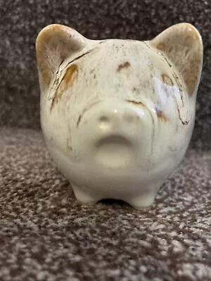 Buy Fosters Small  Money Box With Stopper  Blonde Honeycomb Cornish Pottery Free P&p • 14.99£