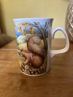 Buy Squirrel Fine Bone China Coffee Mug Coffee Tea Cup Made In England • 20£
