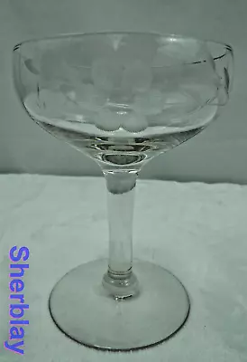 Buy Vintage Etched Clear Czech Crystal Champagne Glass Single • 10.03£