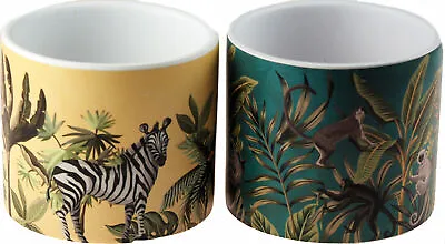 Buy Ceramic Safari Animal Plant Pots - Cream Zebra / Teal Blue Monkey (Set Of 2) • 12.99£