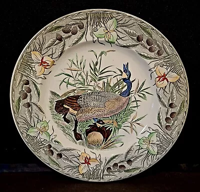 Buy The Birds Of America Adams China Canada Goose Dinner Decorative Plate • 71.93£
