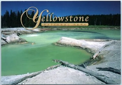 Buy Postcard - Unnamed Pool In Mud Volcano Area - Yellowstone National Park • 3.32£