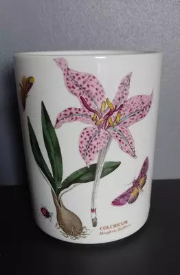 Buy Portmeirion Botanic Garden Meadow Saffron Jar  • 6.99£